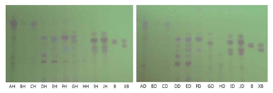 Angelica pubescens 생약샘플의 TLC fingerprint(254nm 검출)