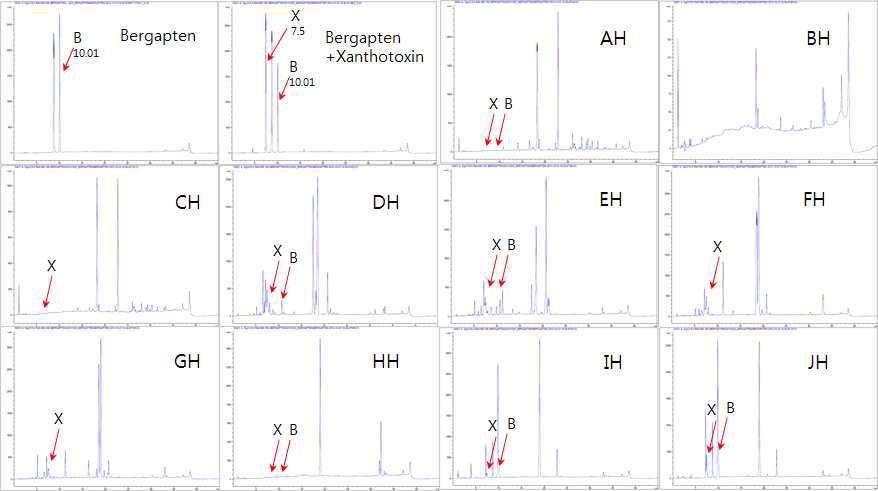 Angelica pubescens 생약샘플 Hexane 추출물의 HPLC fingerprint