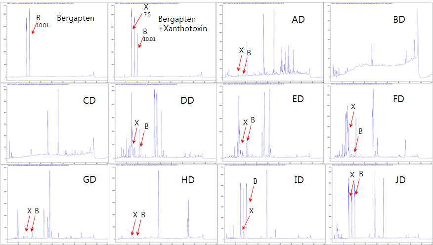 Angelica pubescens 생약샘플 Dichloromethane 추출물의 HPLC fingerprint