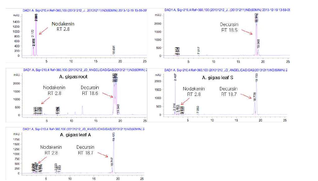 Angelica gigas의 뿌리와 잎 샘플의 HPLC비교