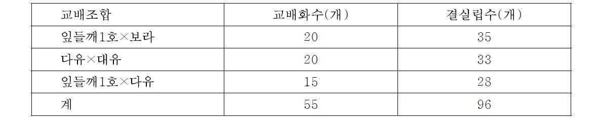 들깨 유전분석 집단 확보를 위한 인공교배 내역