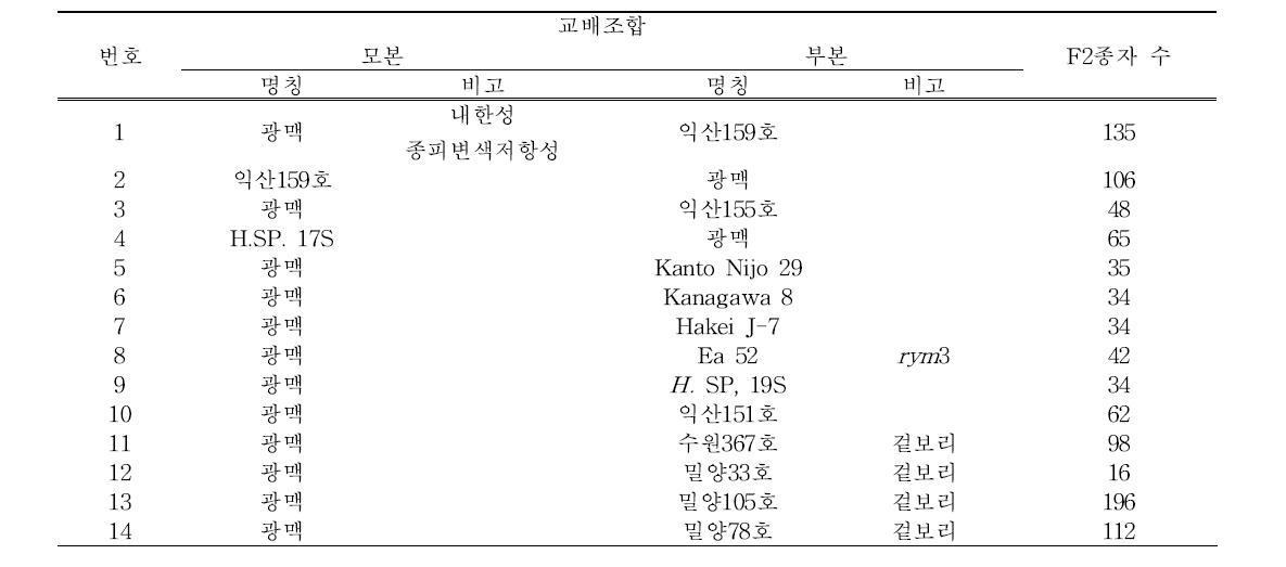 Mapping 집단 작성용 교배조합