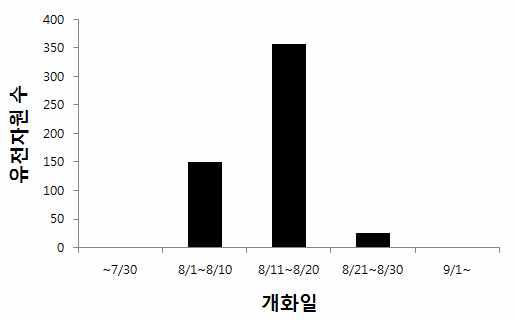 유전자원 개화기 분포