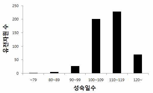 유전자원 성숙일수 분포