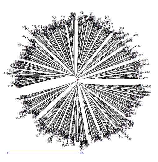 감자 유전자원의 genetic distance를 이용한 NJ tree.