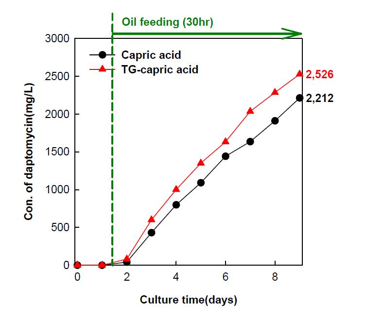 Effects of TG-capric acid on daptomycin production