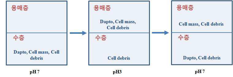 Process of layer separation