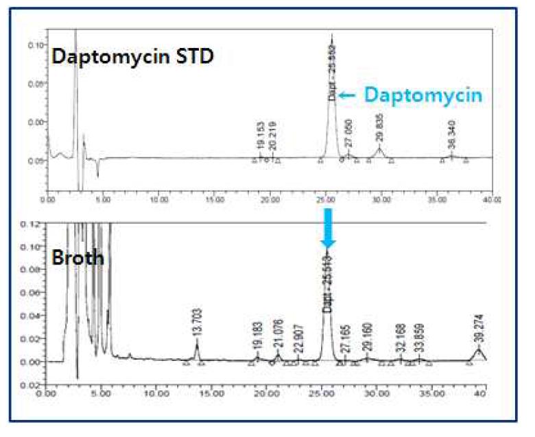 HPLC chromatogram of daptomycin standard and culture broth