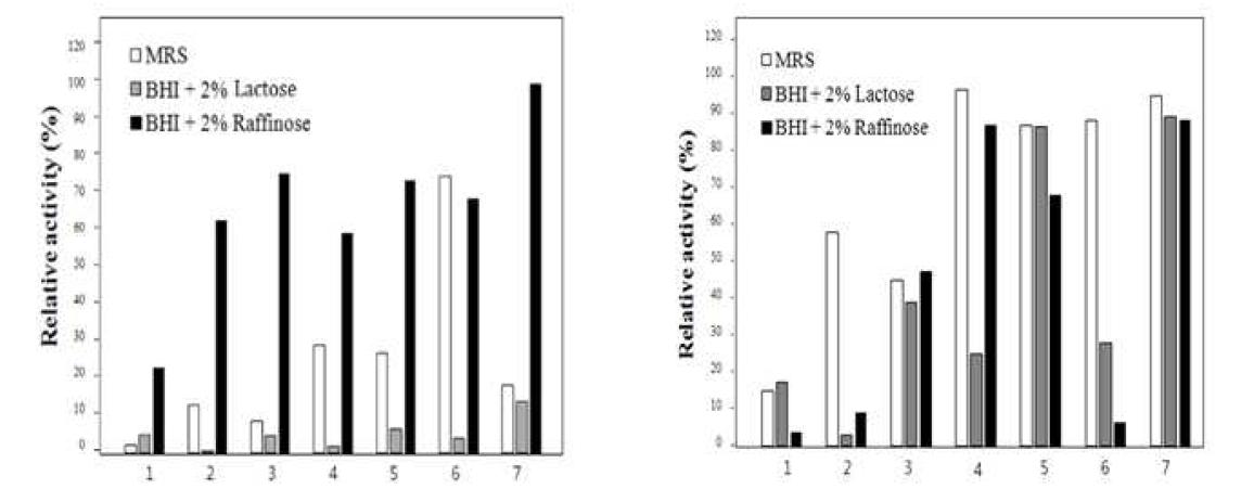 Screening for α-(A) /β - (B) -galactosidase activity of crude enzyme extracts from 7 selected bifidobacteria.