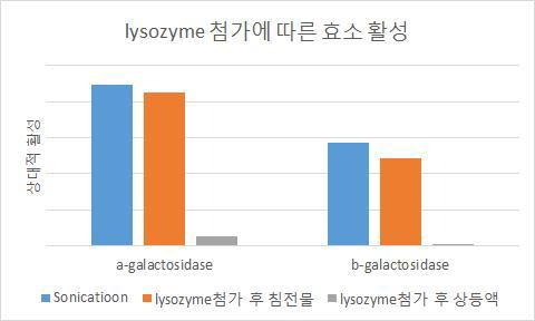 Effect of the addition of lysozyme on the enzyme activity