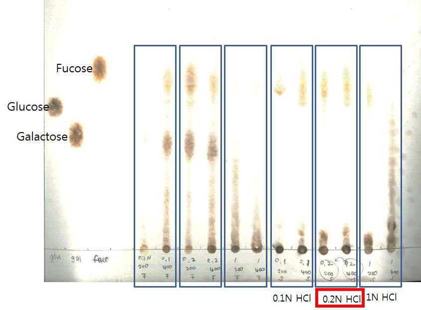 Acid hydrolysis of crude fucoidan using various concentrations of HCl