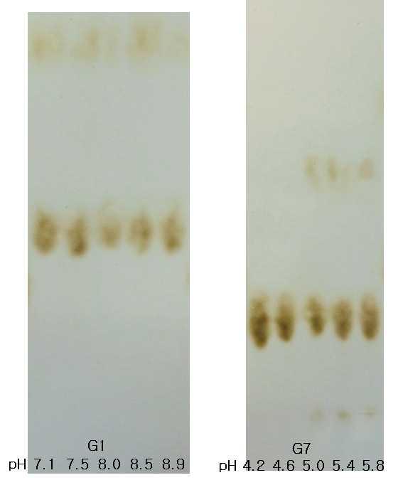 Effect of pH on the transglycosylation activity of recombinant enzyme G1 and G7