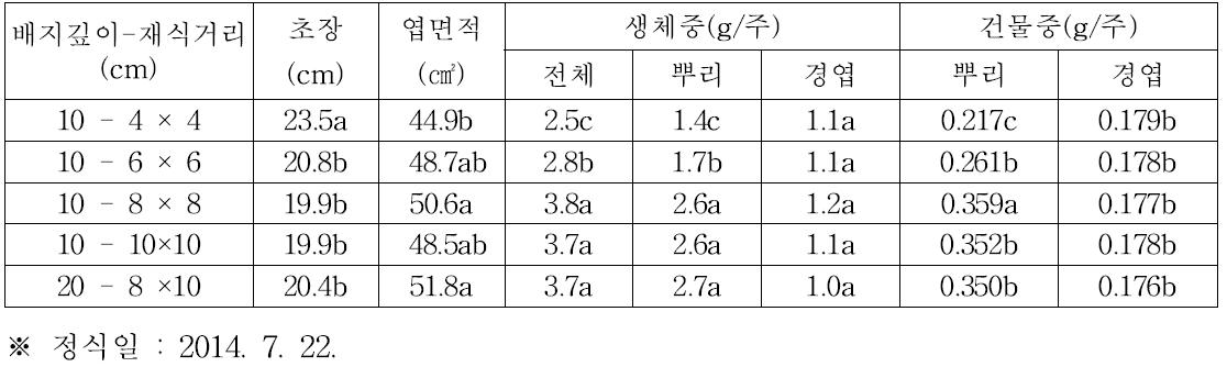 인삼 수경재배 시 배지 깊이 및 재식거리별 정식 90일 후의 생육