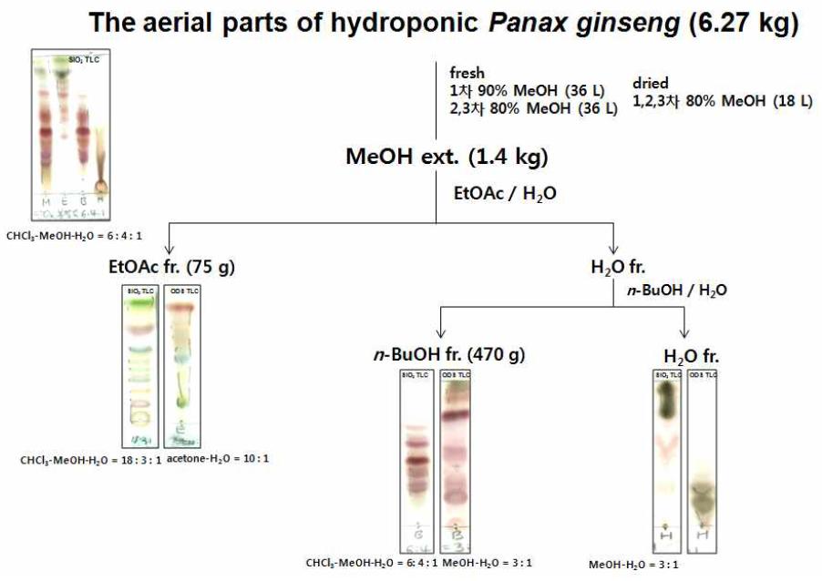 Fractionation procedure of extracts from the Hydroponic Panax ginseng.