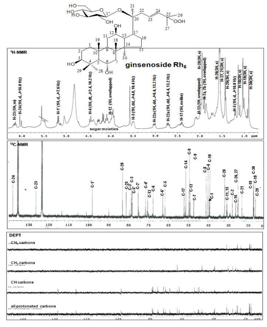 1H-NMR (400 MHz), 13C-NMR and DEPT (100 MHz) spectra of ginsenoside Rh6 from the aerial parts of hydroponic Panax ginseng (pyridine-d5).