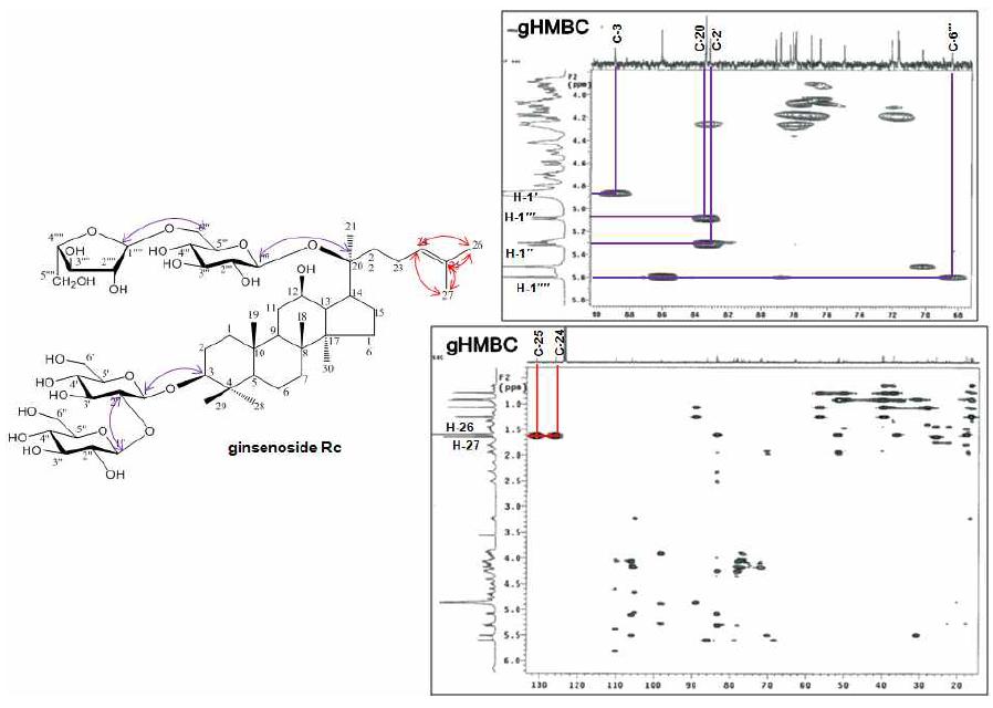 gHMBC spectrum of ginsenoside Rc from the aerial parts of hydroponic Panax ginseng (pyridine-d5).