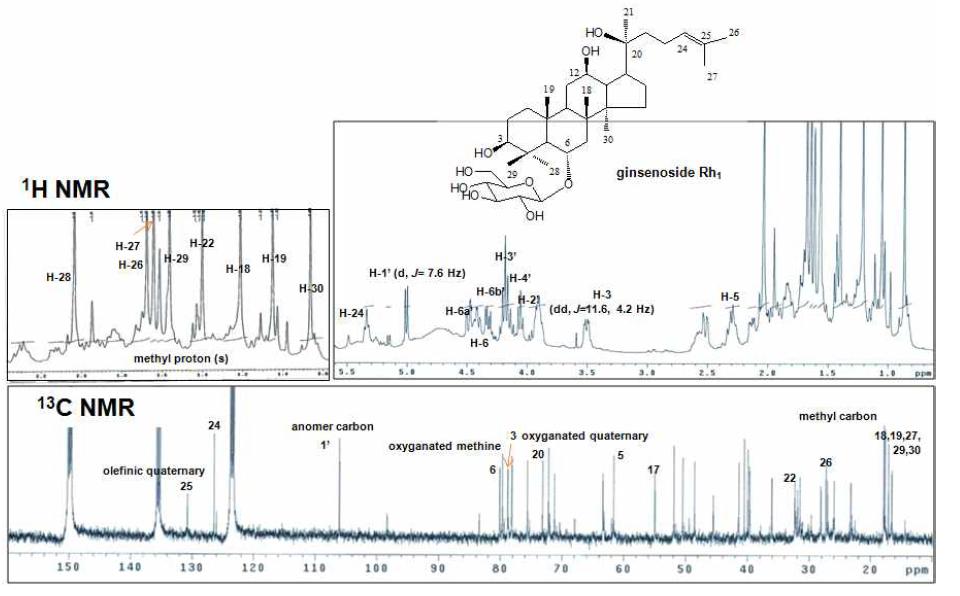 1H-NMR (400 MHz) and 13C-NMR (100 MHz) spectra of ginsenoside Rh1 from the aerial parts of hydroponic Panax ginseng (pyridine-d5).