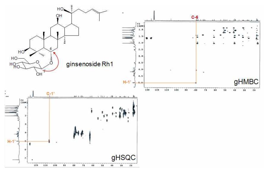 gHMBC and HSQC spectra of ginsenoside Rh1 from the aerial parts of hydroponic Panax ginseng (pyridine-d5).