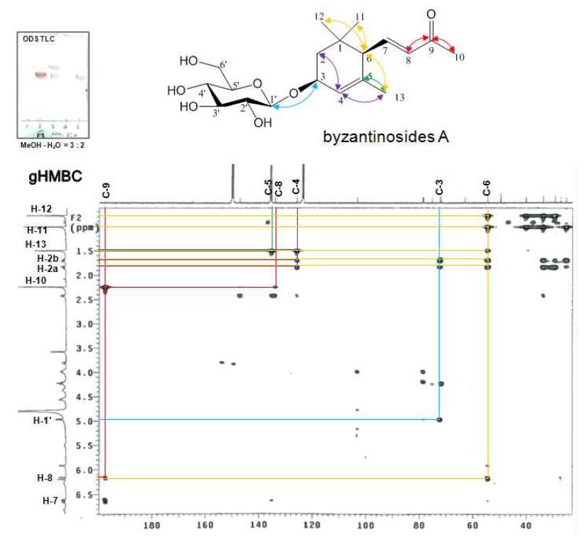 gHMBC spectrum of byzantinosides A from the EtOAc fr. the aerial parts of hydroponic Panax ginseng (pyridine-d5).