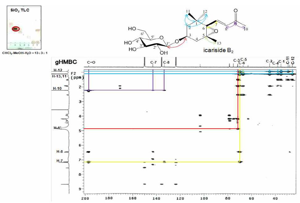 gHMBC spectrum of icariside B2 from the EtOAc fr. the aerial parts of hydroponic Panax ginseng (pyridine-d5).