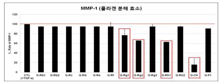 수경인삼 잎, 줄기 내 사포닌계 단일 화합물들의 콜라겐분해효소(MMP-1) 발현 억제 효능