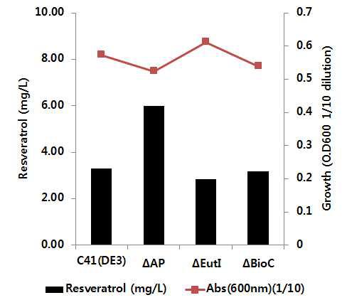 식물 폴리케타이드 레스베라트롤 인공대사경로 구 현 대장균 C41(DE3)와 선발된 대사회로 유전자조작 균주에서 의 생산량 비교 그래프 및 최 종 배양액의 흡광도 그래프.