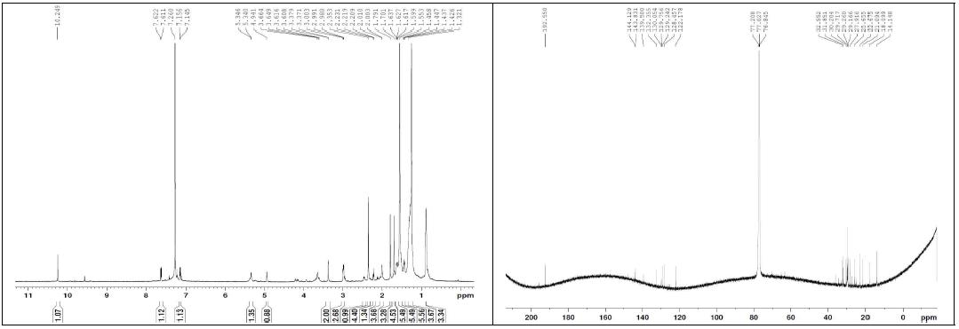 화합물 11의 1H, 13C NMR 스펙트럼