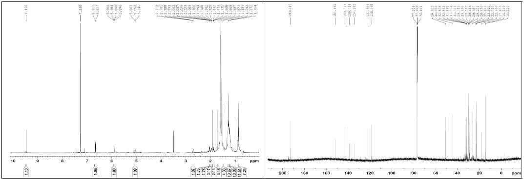 화합물 12의 1H, 13C NMR 스펙트럼