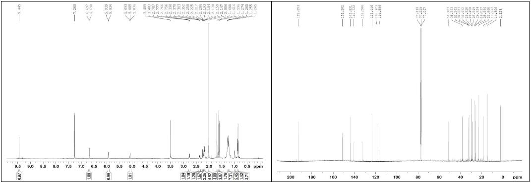 화합물 13의 1H, 13C NMR 스펙트럼