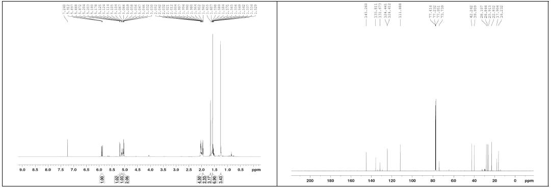 화합물 14의 1H, 13C NMR 스펙트럼