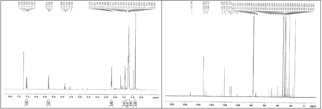 화합물 15의 1H, 13C NMR 스펙트럼