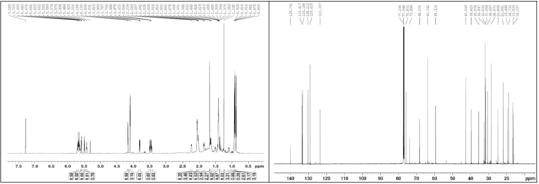 화합물 18의 1H, 13C NMR 스펙트럼