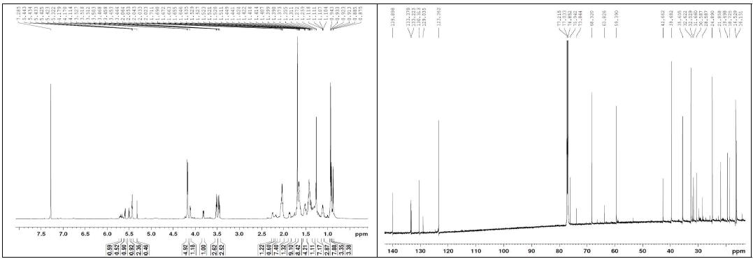 화합물 19의 1H, 13C NMR 스펙트럼