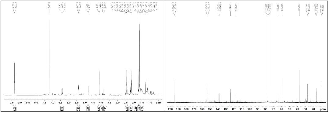 화합물 20의 1H, 13C NMR 스펙트럼