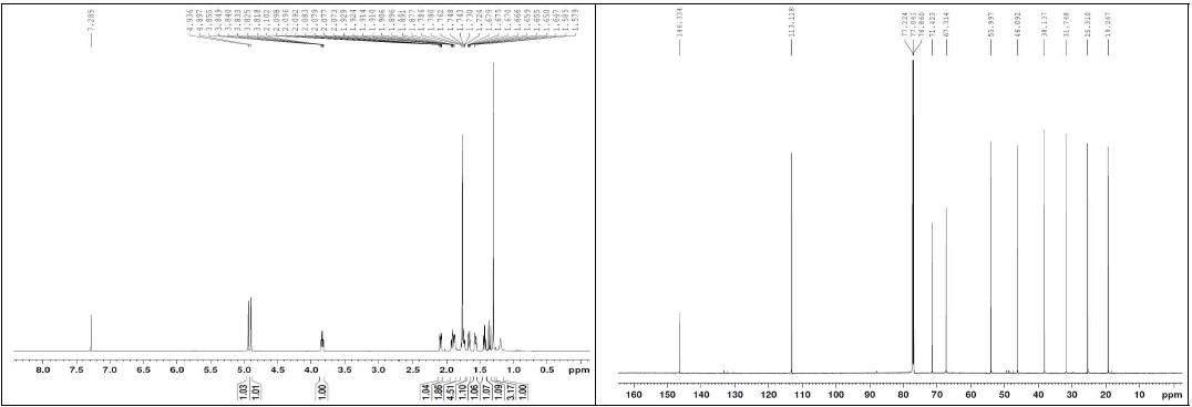 화합물 21의 1H, 13C NMR 스펙트럼