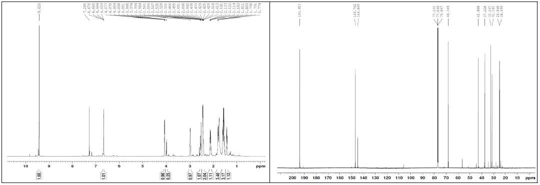 화합물 23의 1H, 13C NMR 스펙트럼