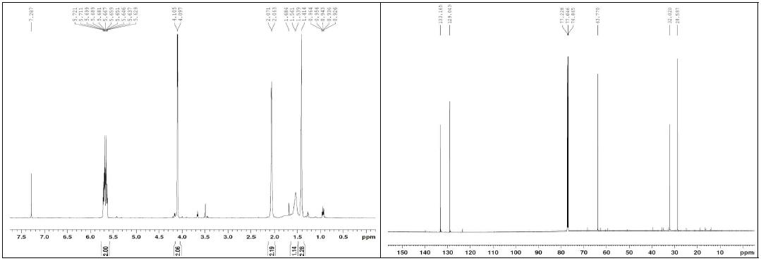 화합물 24의 1H, 13C NMR 스펙트럼