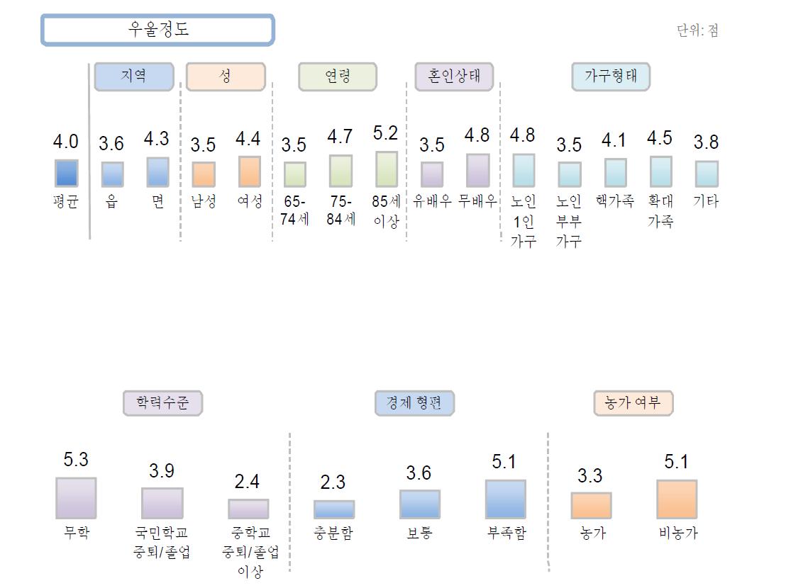 농촌 고령자의 우울정도