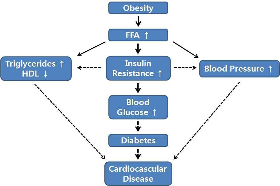 대사증후군 유발 기전