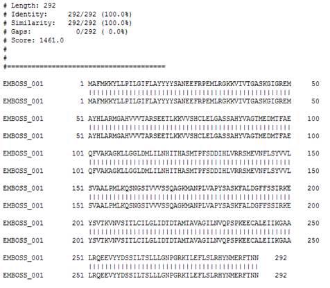 돼지의 11β-HSD1 유전자 동정 후 시퀀싱 결과