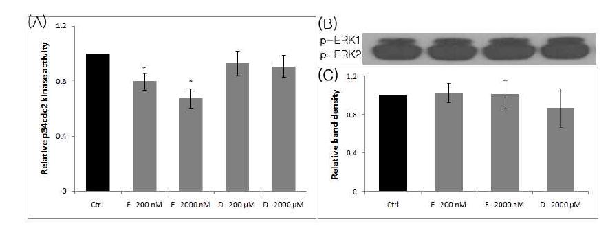 MII 단계의 난자에 FCCP, DDC를 처리에 따른 p34cdc2kinase 활성의 변화를 측정하였고 (A), immunoblot 방법으로 p-ERK1/2 단백질의 발현정도를 관찰하였으며 (B), 이를 히스토그램으로 나타내었다 (C). (Ctrl, control; F, FCCP; D, DDC, p, phospho. Values represent means ± SEM from three separate experiments.