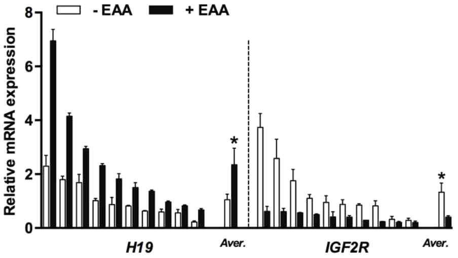 각 단위발생 배반포의 H19 및 IGF2R의 mRNA 발현 양상