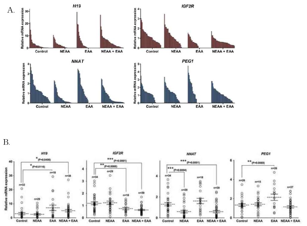 아미노산 처리에 따른 각인유전자 mRNA의 발현 차이 분석