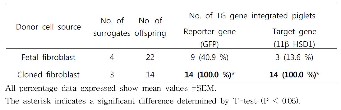 Re-cloning을 통한 11β-HSD1 형질 전환 복제 돼지 생산 및 형질전환 효율평가