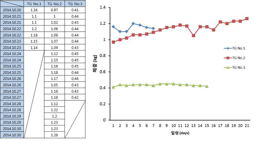 11β-HSD1 TG piglets의 일령별 체중변화