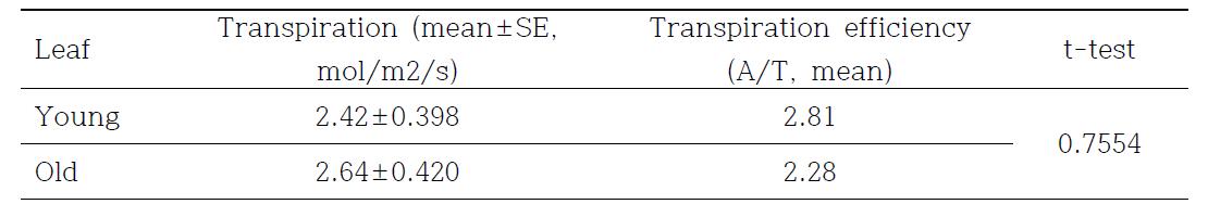 Transpiration of lower and higher rice leaves