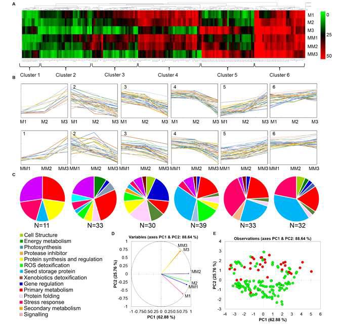 만리콩, 만리콩 mutant에서 확인된 단백질을 bioinfomatics tool을 이용한 분석