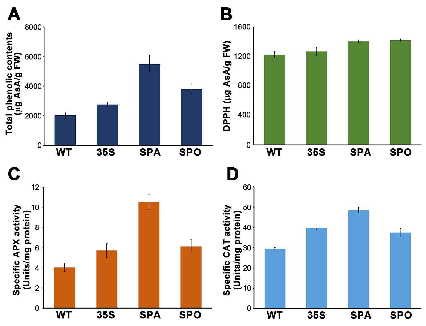 IbMYB1a 유전자 과발현 형질전환 담배 식물체(파종 후 60일)에서의 안토시아닌 축적에 따른 총페놀 함량(A), DPPH 자유라디칼 제거 활성(B), 항산화 효소(C, APX; D, CAT) 활성 효과 조사(흡광도 분석법)