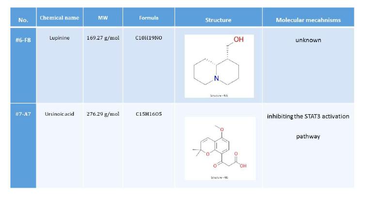 줄기세포 분화 활성을 보이는 natural compound