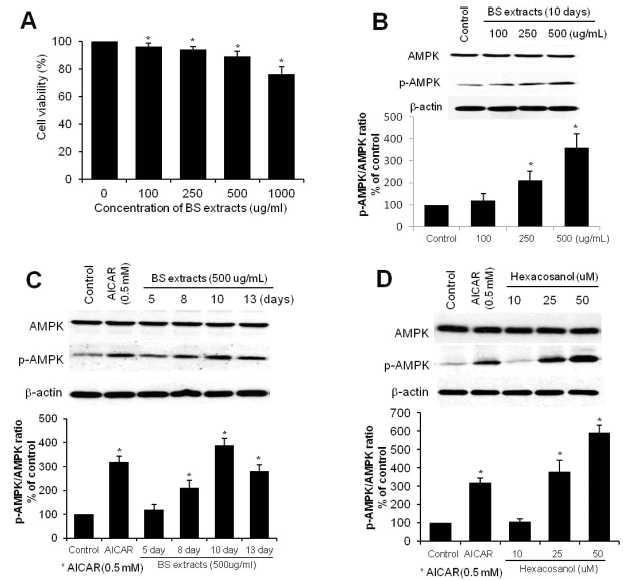 Effects of PC on HepG2 cells induced p-AMPK expression via activating AMPK.